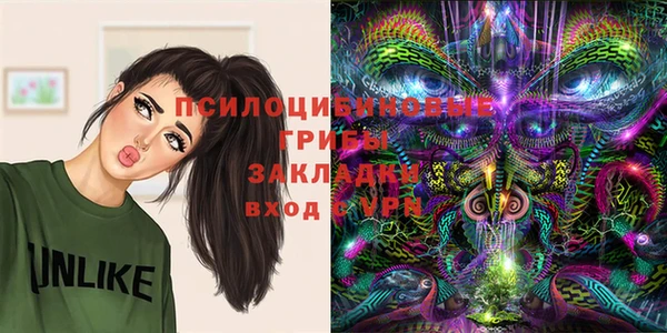 твердый Белокуриха