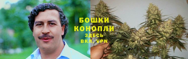 твердый Белокуриха