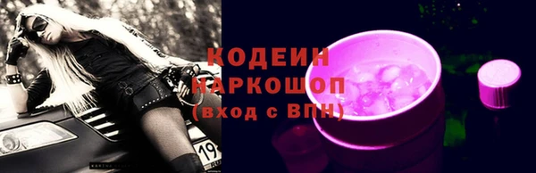 индика Беломорск