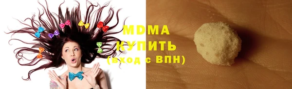 индика Беломорск