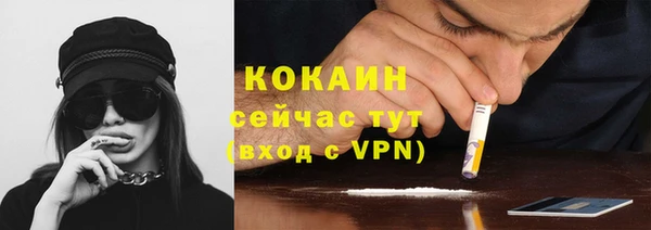 индика Беломорск