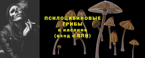 индика Беломорск
