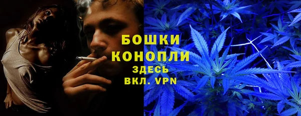 стафф Сафоново