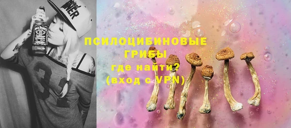 твердый Белокуриха