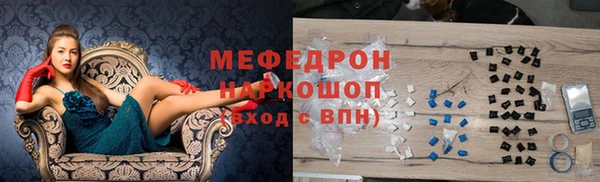 индика Беломорск